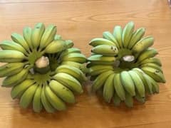 沖繩産アップルバナナ9キロ - メルカリ