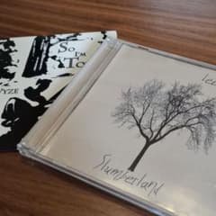 [輸入盤CD]Lee DeWyze 2枚セットのサムネイル