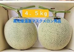 高知産 大玉 温室マスクメロン 秀品 4，5kg 2個 北海道沖縄発送不可