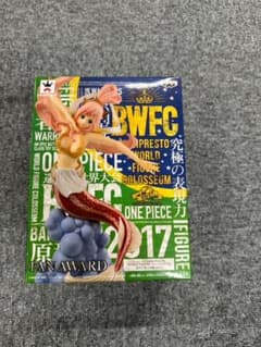 원피스 조형왕 정상 결전 vol.5 밴프레스트 BWFC 시라호시 공주