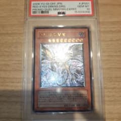 遊戯王 レッドアイズ・ダークネスドラゴン 真紅眼の闇竜 レリーフ