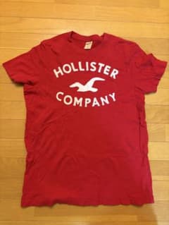 HOLLISTER 半袖Tシャツ レッド Lのサムネイル