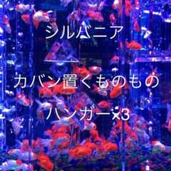 専用ページ シルバニアのサムネイル