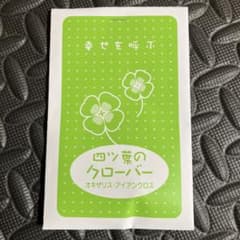 四ツ葉のクローバー　球根のサムネイル