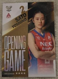 １*４様 佐藤淑乃選手NECレッドロケッツ オープニングゲームカードVコレのサムネイル