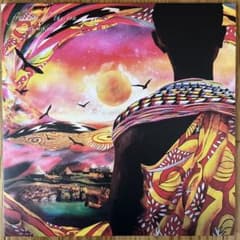 Uyama Hiroto/freedom of the son 2LP - メルカリ