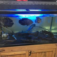 90cm 水槽 曲げガラス  専用のサムネイル