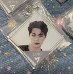 SEVENTEEN SVT 아크릴 매력 ~Face the Sun~ 디노