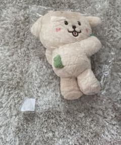 NCT WISH ジェヒ デントリバー バッグ ソウルコン カバン キャラクター