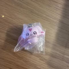 푸치큐아 메지루시 액세서리 미뿌루