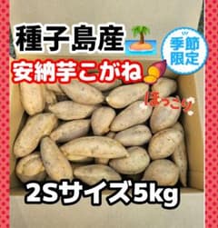 安納芋こがね2Sサイズ5kg(種子島産)のサムネイル