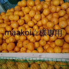 maakoi☆様専用  上ノ太子みかん園のみかんのサムネイル