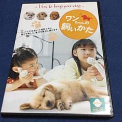 犬 飼育DVD  ワンちゃんの飼い方のサムネイル