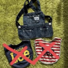 スタイ　Leeのサムネイル