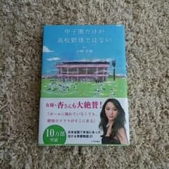 甲子園だけが高校野球ではないのサムネイル