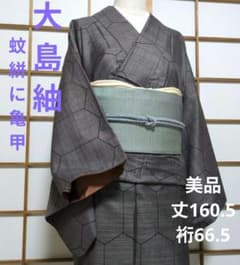美品 大島紬 蚊絣に亀甲 丈160.5 裄66.5 - メルカリ