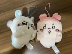 ちいかわ　モモンガ　古本屋のサムネイル