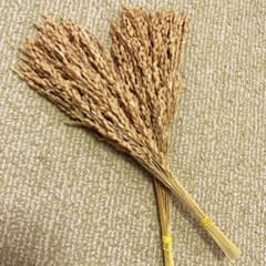 chachan1121様 リクエスト 2点 まとめ商品のサムネイル