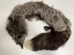 お値下げ中☆【美品】狐マフラー 本物のサムネイル