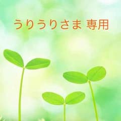ボレロ カーディガン 結婚式 二次会にのサムネイル