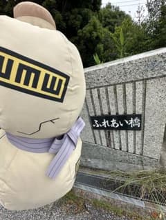 NARUTO 니지겐노모리 가애라의 瓢箪 배낭