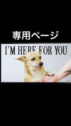 専用ページのサムネイル