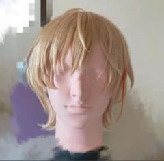 にじさんじ 風楽奏斗 ウィッグ - メルカリ