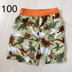 水着 男の子 恐竜　100のサムネイル