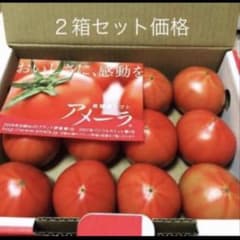 2ケース アメーラトマト 高糖度 フルーツトマト 品質鮮度抜群 - メルカリ