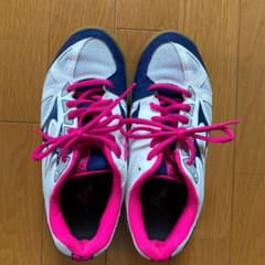 ミズノ　バレーボールシューズ　22.0cmのサムネイル