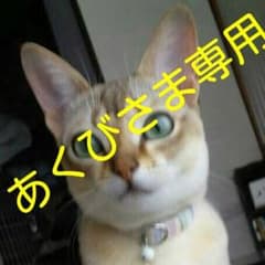 あくび さま専用のサムネイル
