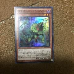 捕食植物サンデウ・キンジーのサムネイル