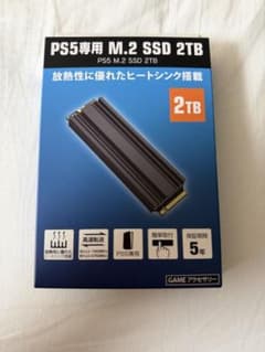 GEO PS5専用 M.2 SSD 2TB - メルカリ