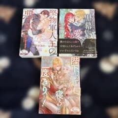 堅物軍人王の悪女デスゲームの黒幕を愛する方法 陛下貴方と寝るのは一度きりですのサムネイル