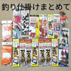 釣り仕掛け、釣り針、投釣り、フィッシングのサムネイル