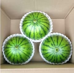 【S3】茨城県産 産地直送 小玉スイカ スウィートキッズ 訳あり 3個入のサムネイル