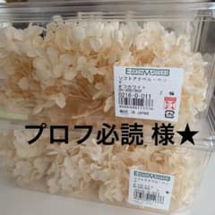 プロフ必読 様★ご専用のサムネイル