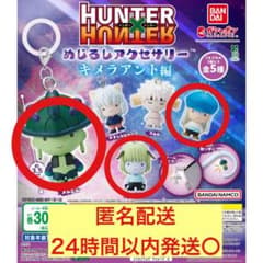 HUNTER × HUNTER 헌터 헌터 메지루시 액세서리