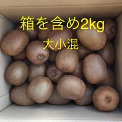 ⭐︎岐阜県産キウイフルーツ(大小)のサムネイル