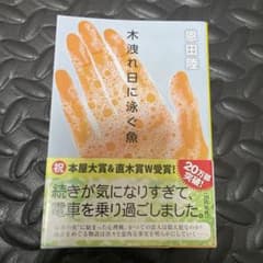 木洩れ日に泳ぐ魚のサムネイル