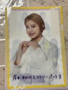 岸本ゆめの A4クリアファイル 思い出の写真パート3のサムネイル