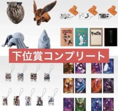 NARUTO 이치 반 쿠지 하위상 컴플리트 세트