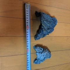 シェルターのサムネイル