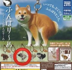 ふんばり〜ぬ ガチャ マスコット パグのサムネイル