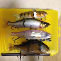 釣りキチ様専用のサムネイル
