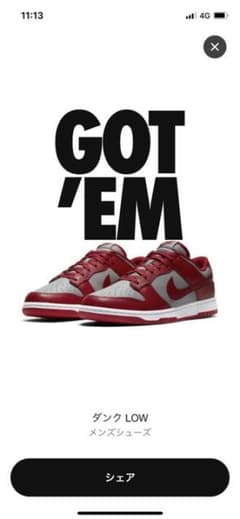 NIKE dunkのサムネイル