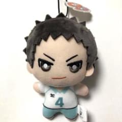 岩泉一　ちみっともぬい　ぬいぐるみ　ハイキュー‼︎サンリオ×ウィアーダイナソアーズ