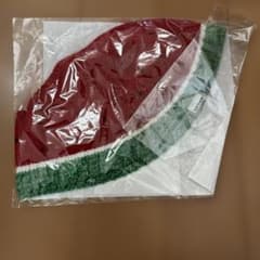 値下げ　LOVOT すいかニットキャップ　熊本限定 値下げ LOVOT すいかニットキャップ 熊本限定 - メルカリ