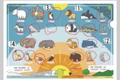 シャクレルプラネット ガチャガチャのサムネイル