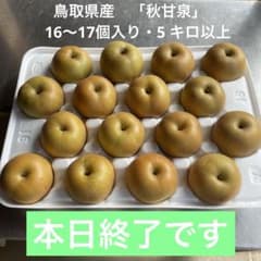 66 ．鳥取県産　秋甘泉　農家直送 　　　　 　　　　　5 キロ以上のサムネイル